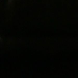 Meet your Posher, Dante